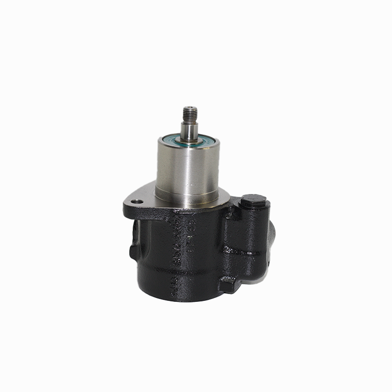 Lenkungspumpe 46-200087 A0014662001 bild_3